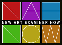 NAENOW icon